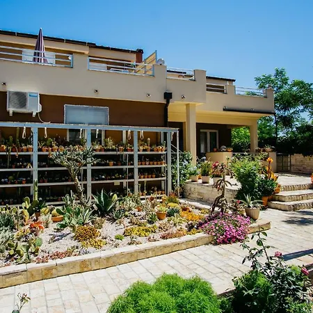 Kobi Apartment